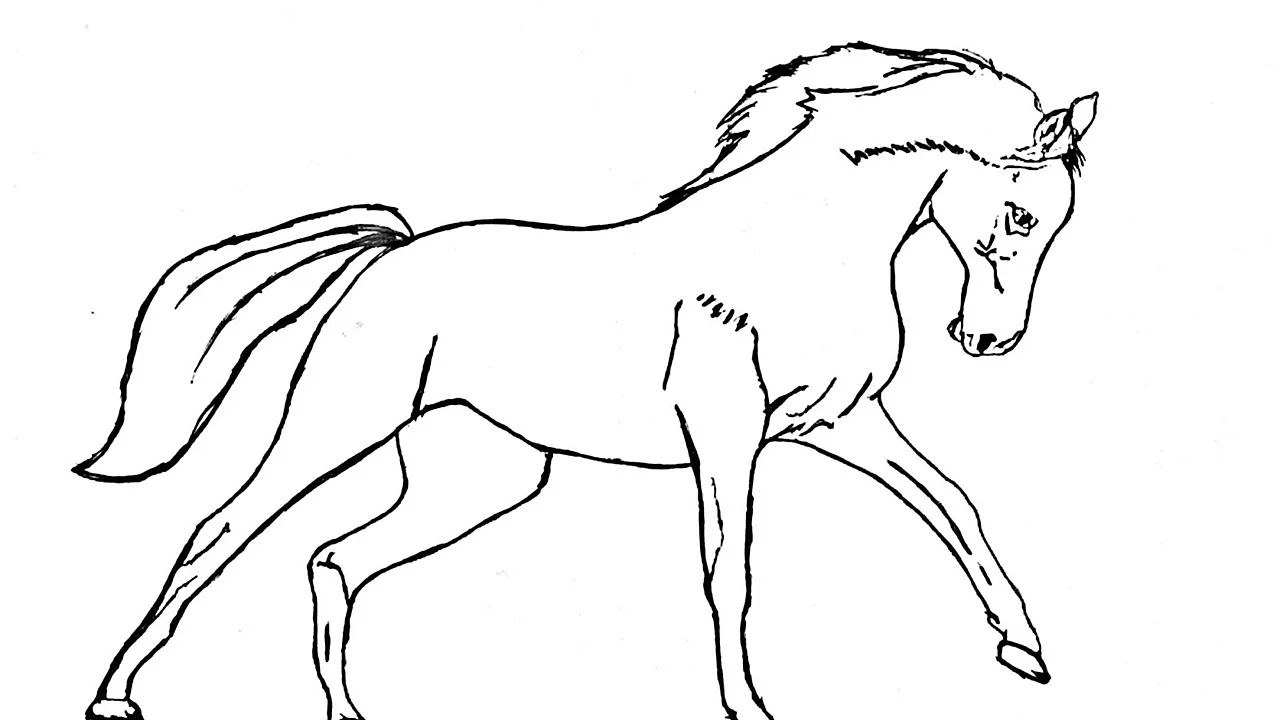 Конь рисунок
