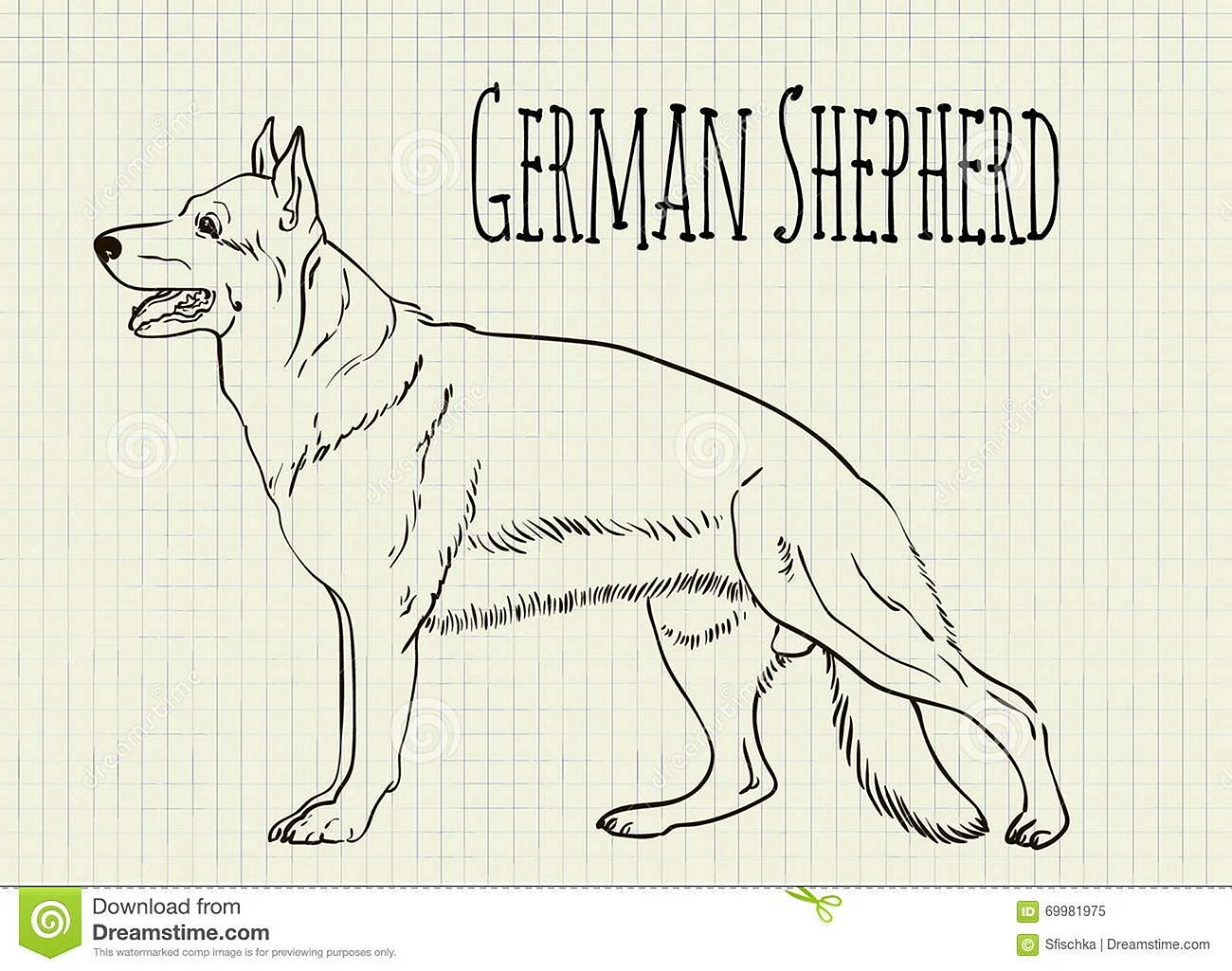 Контуры для рисования немецкой овчарки