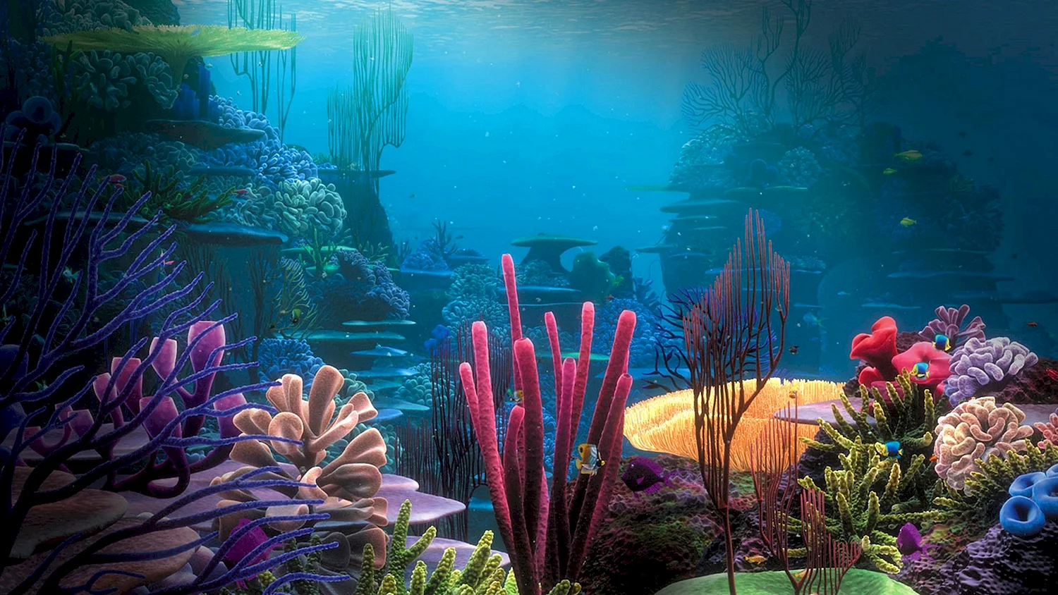 Коралловый риф Адлер достопримечательности