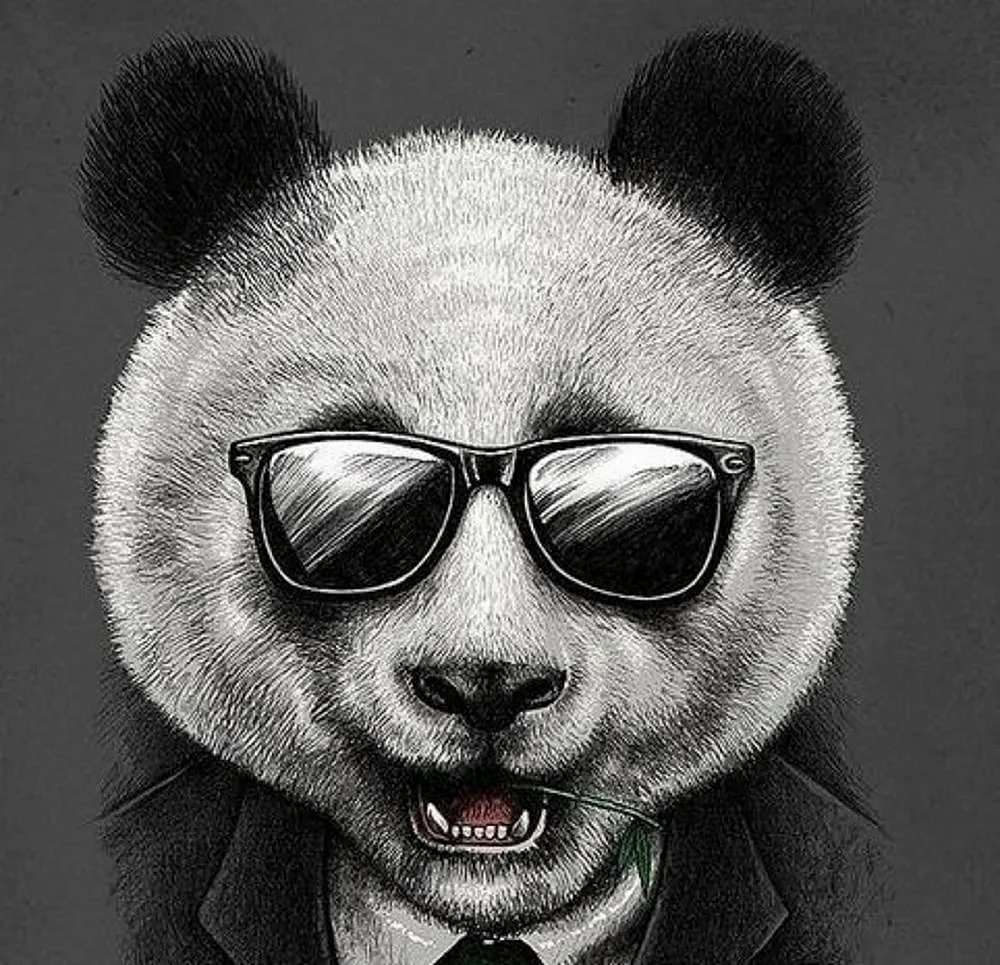 Костюм панды