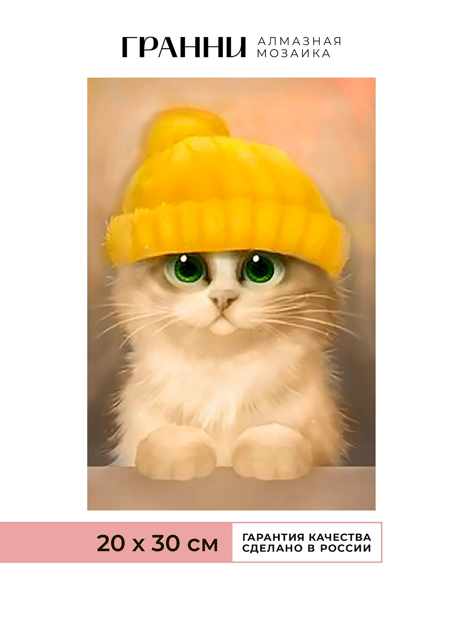 Кот в желтой шапке