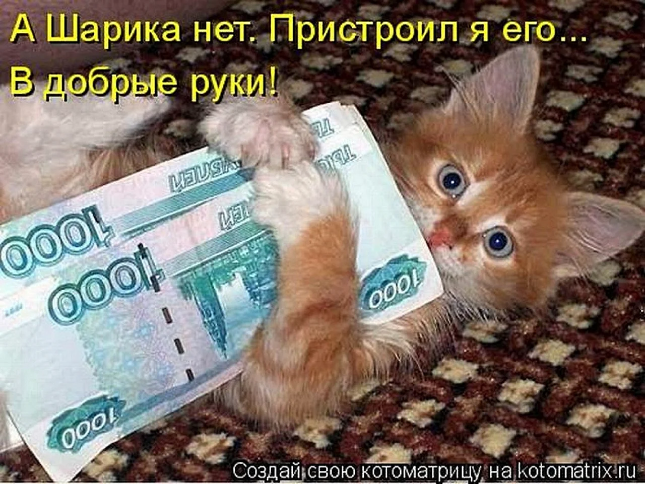 Котенок с деньгами