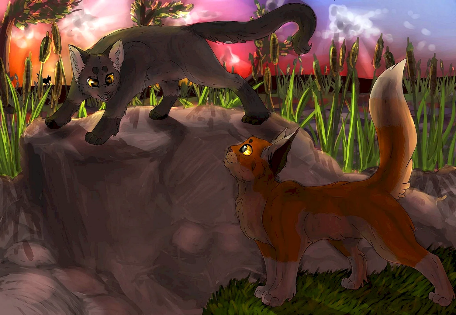 Коты Воители Рыжинка арт
