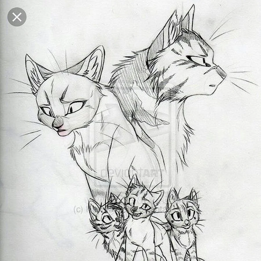 Коты Воители Звездоцап и Саша