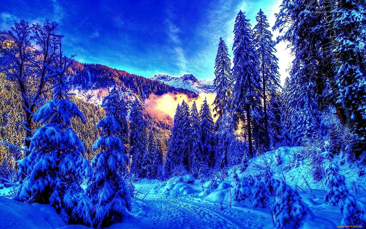 Красивая зима
