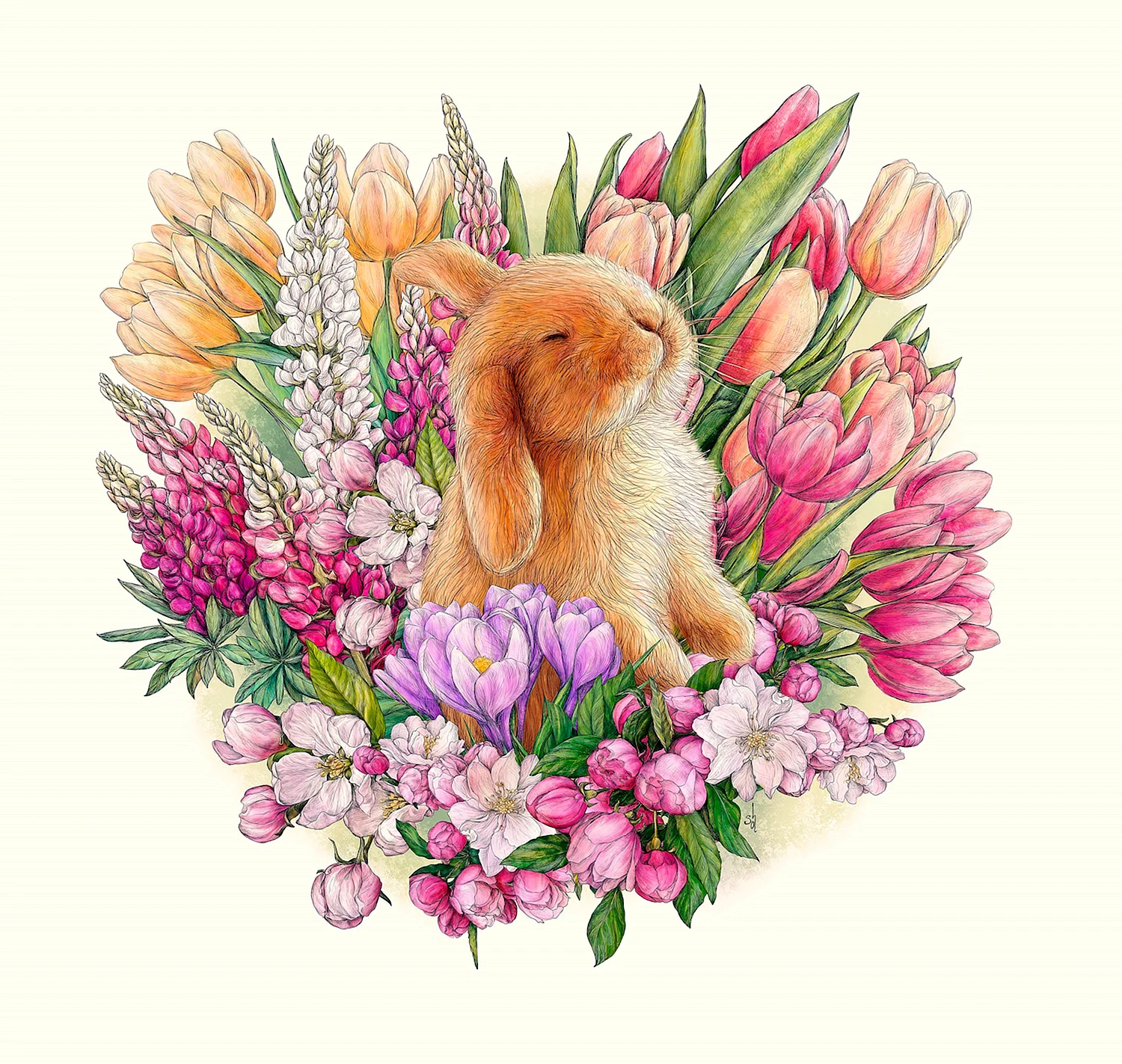 Кролик и цветы