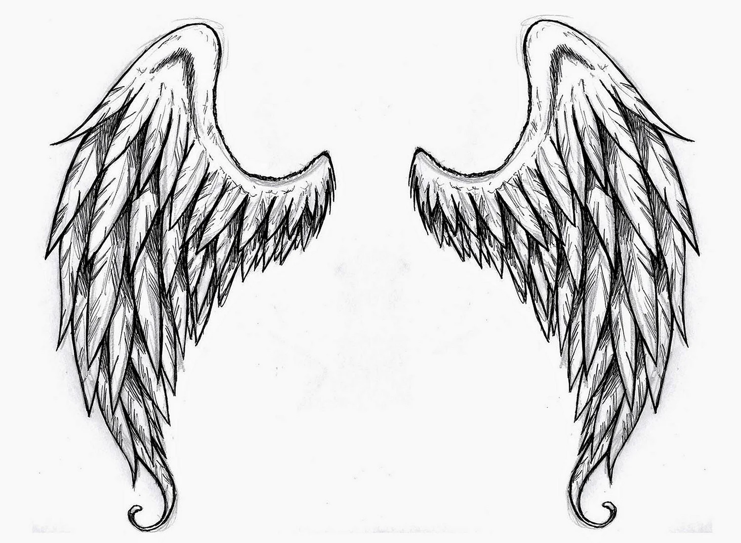 Крылья ангела для срисовки