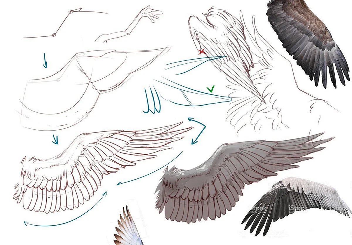 Крылья для рисования