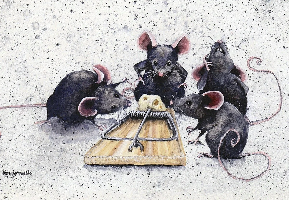 Крыса картина