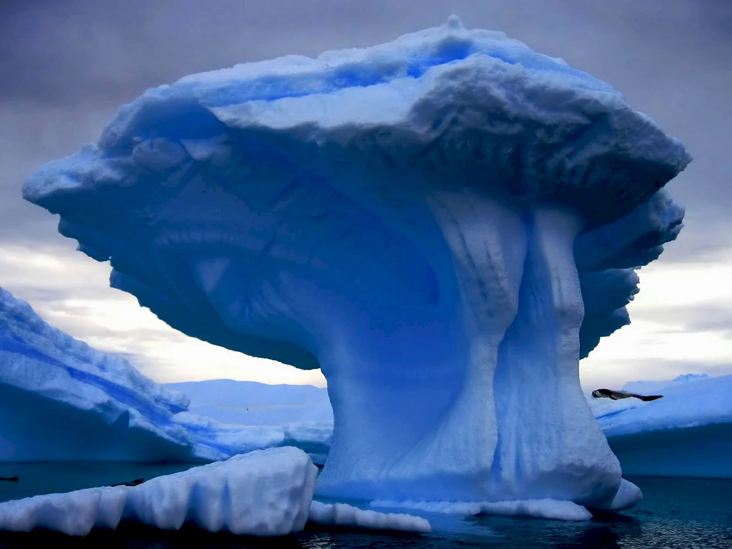 Куполообразные айсберги