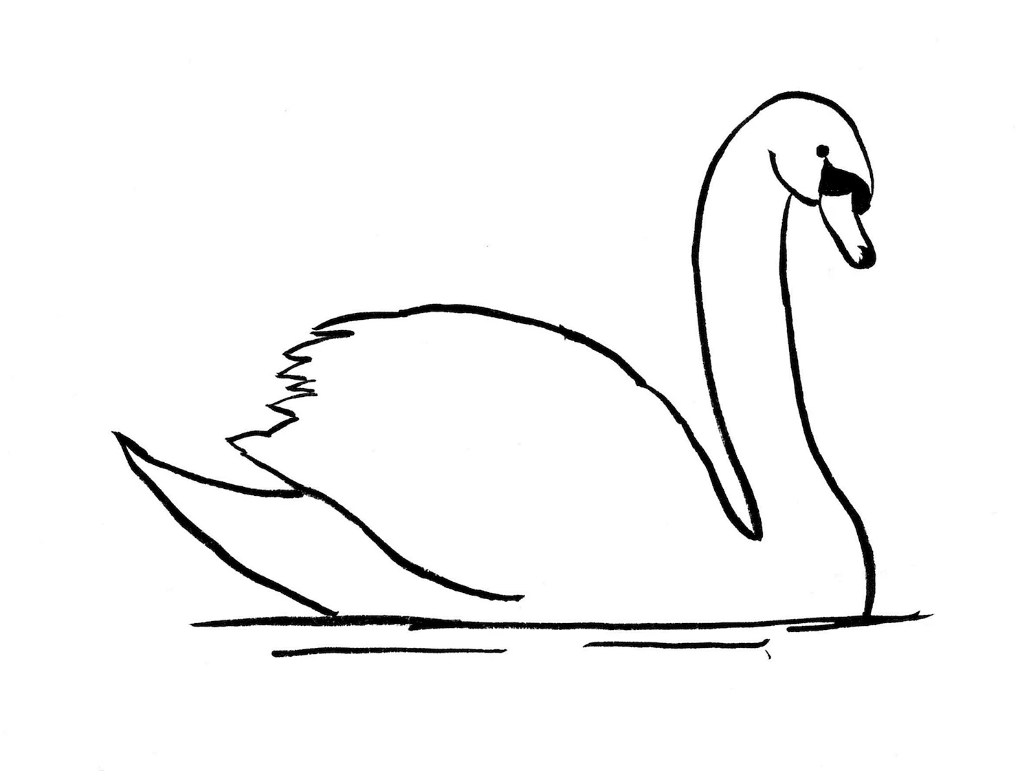 Как нарисовать лебедя карандашом поэтапно