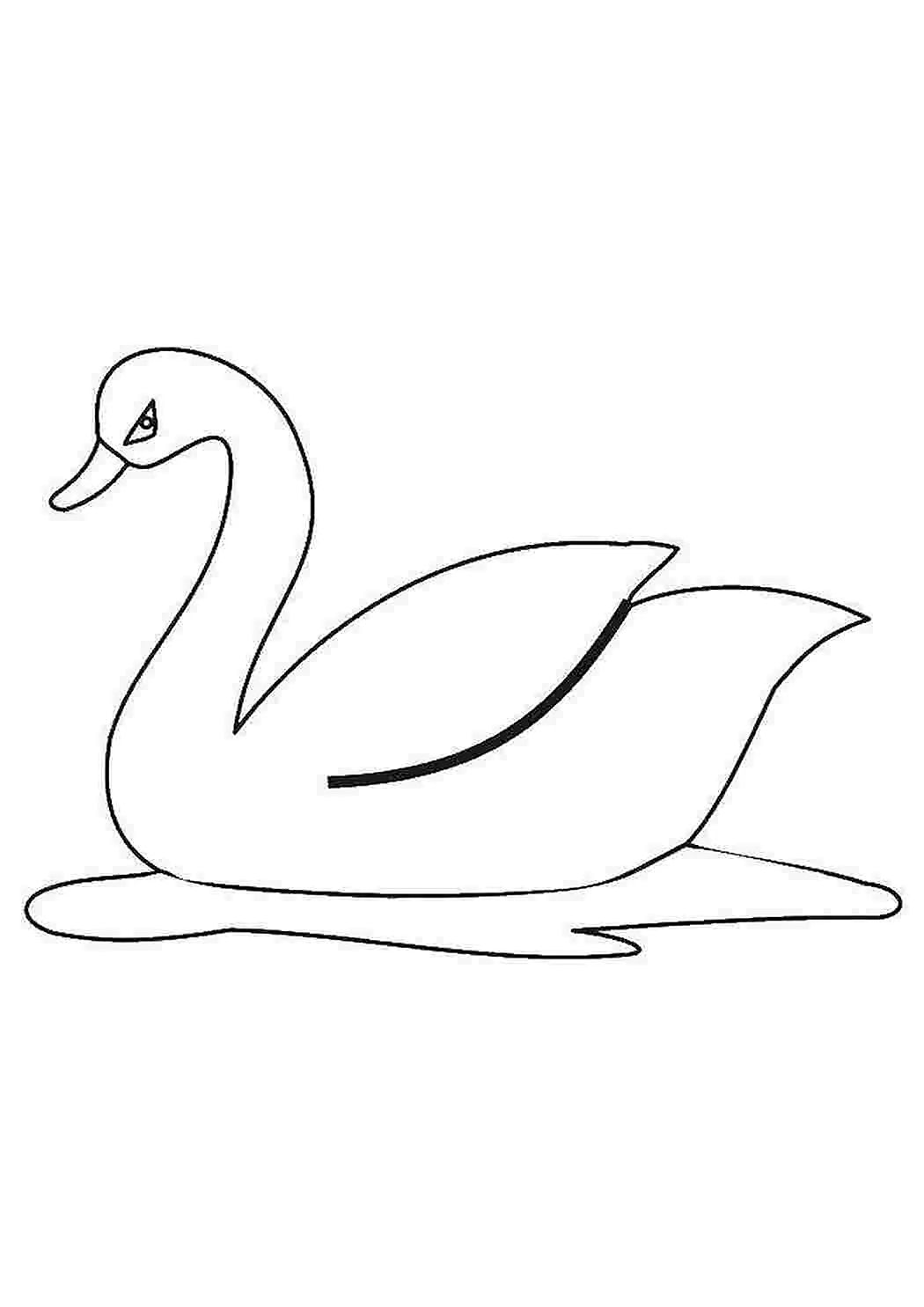 Лебедь сбоку рисунок
