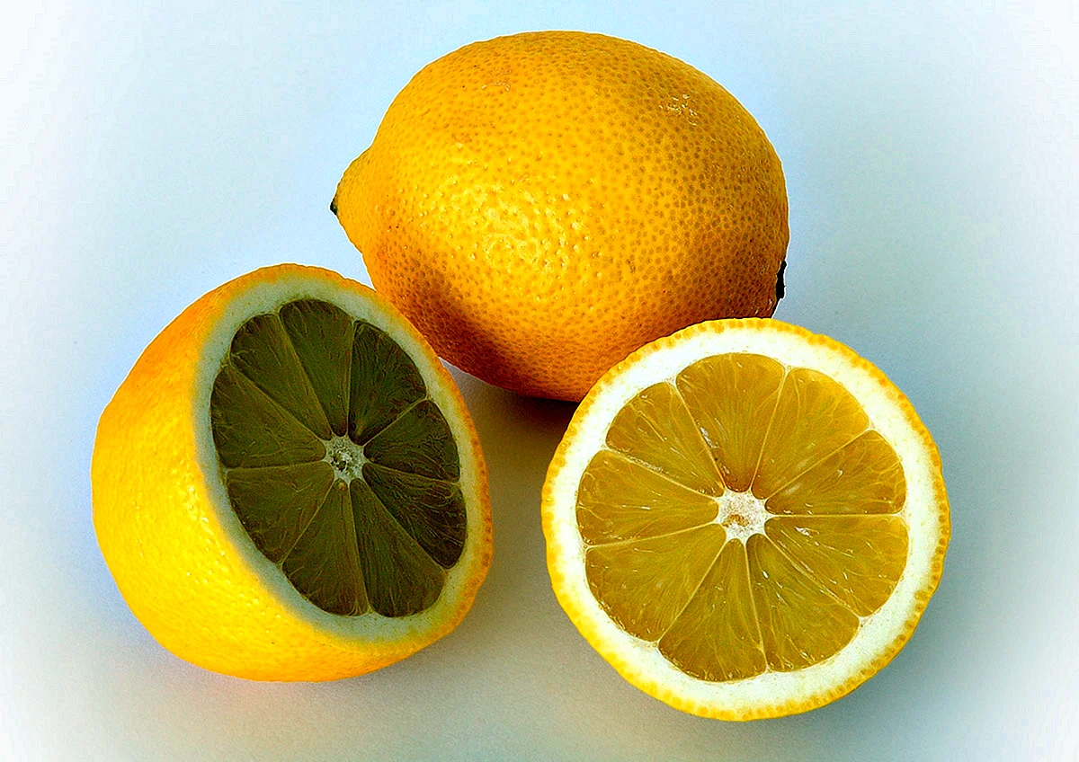 Лимонович
