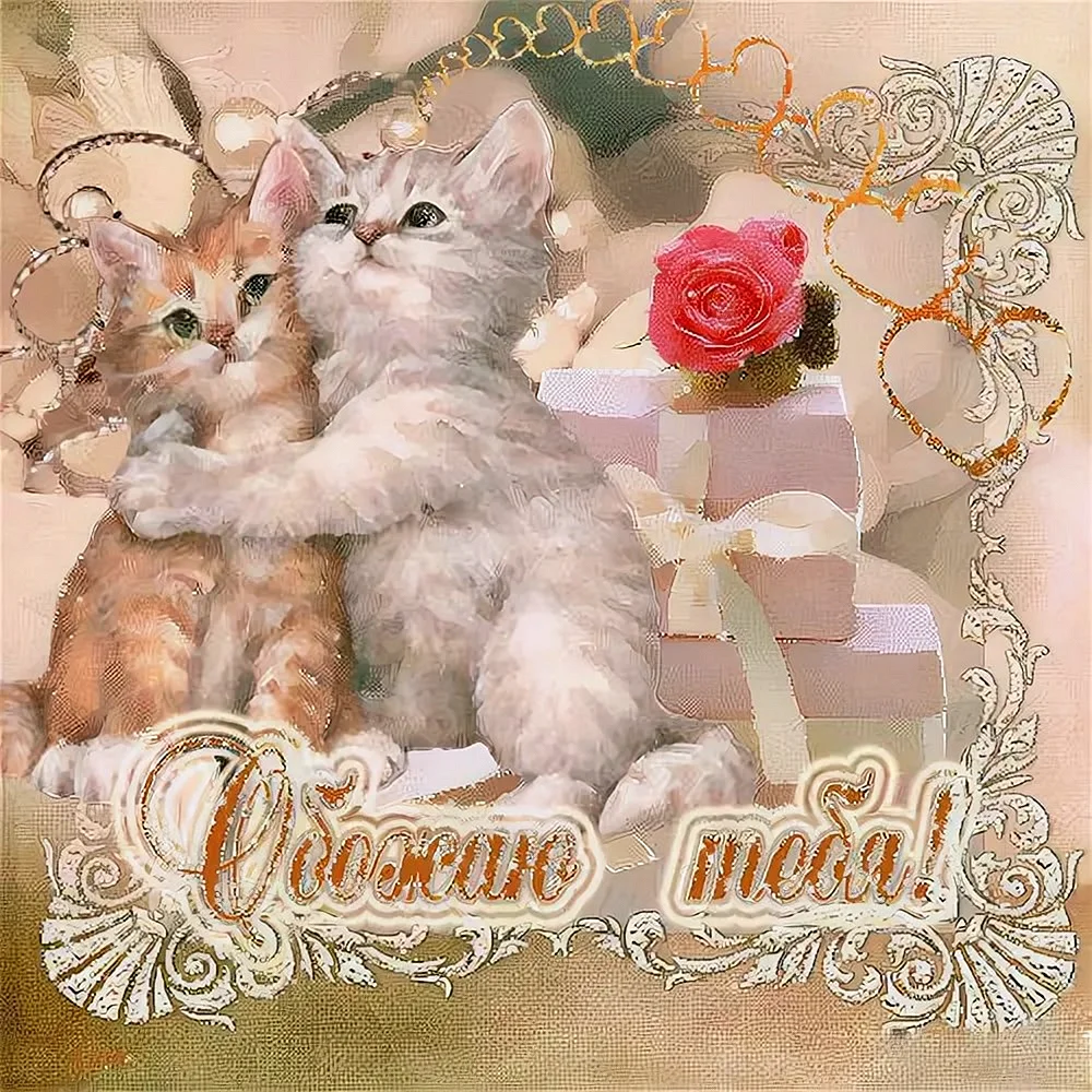 Любимому котенку открытки