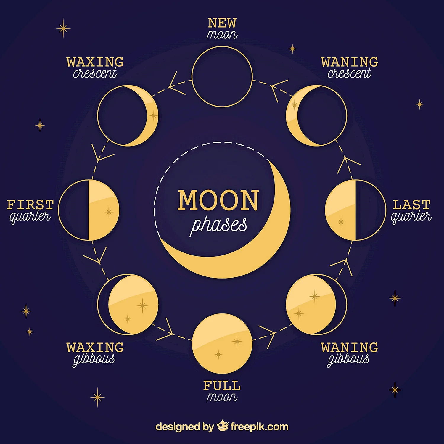 Лунный цикл