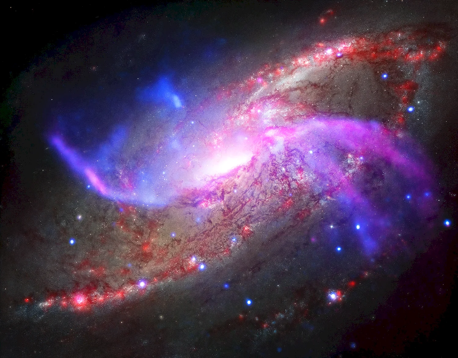 M 106 (Галактика)