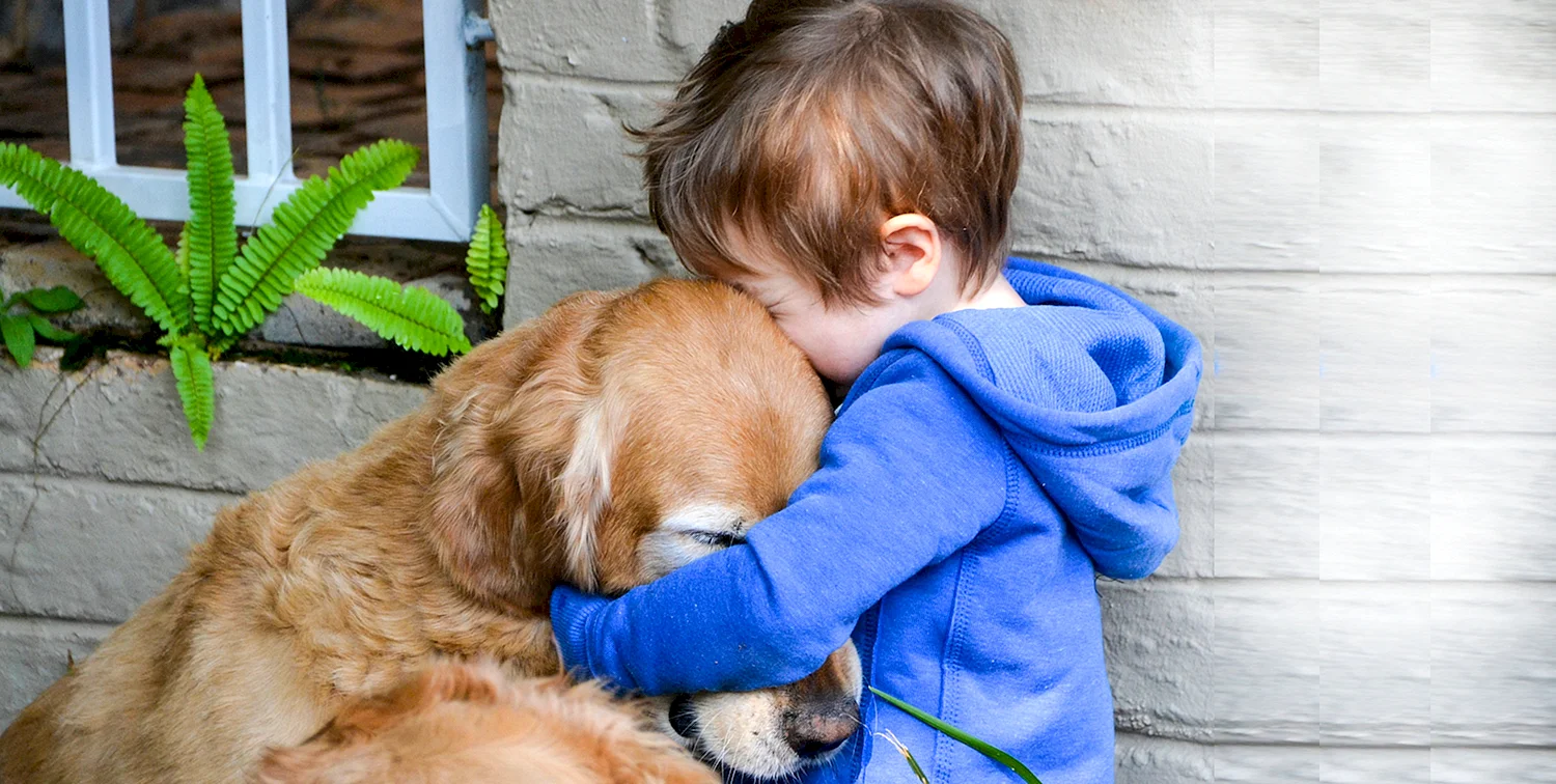 Мальчик обнимает собаку