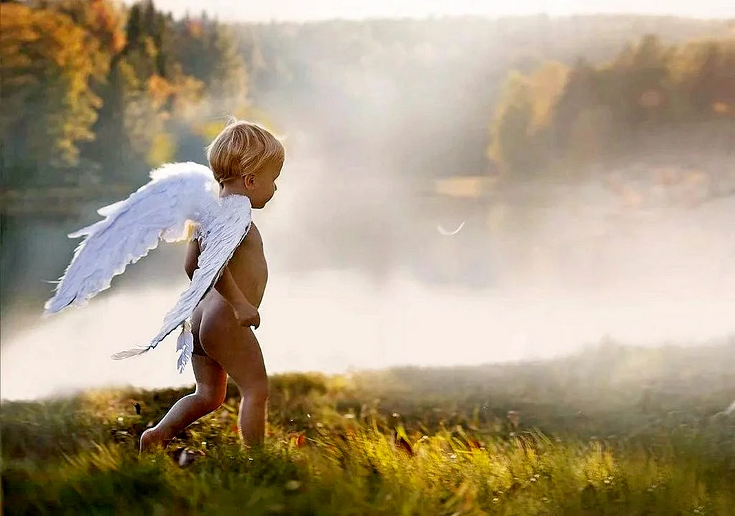 Мальчик с крыльями