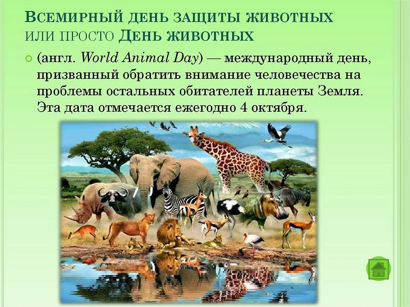 Международный день защиты животных