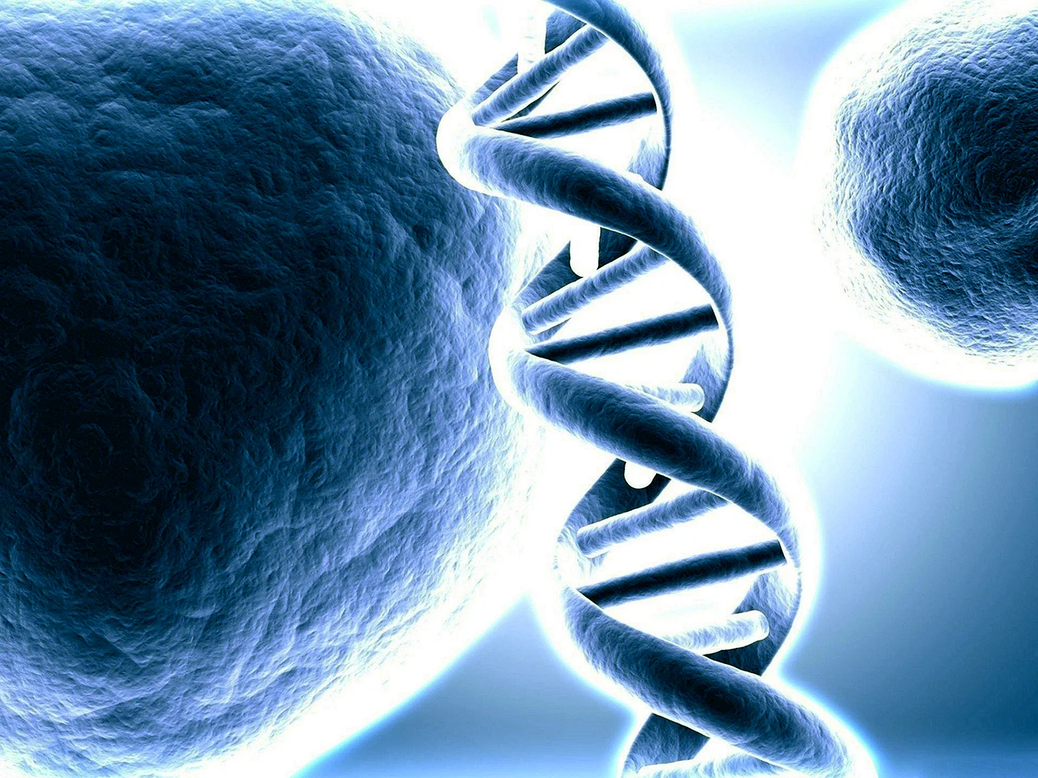 Молекула Геннадьевна ДНК