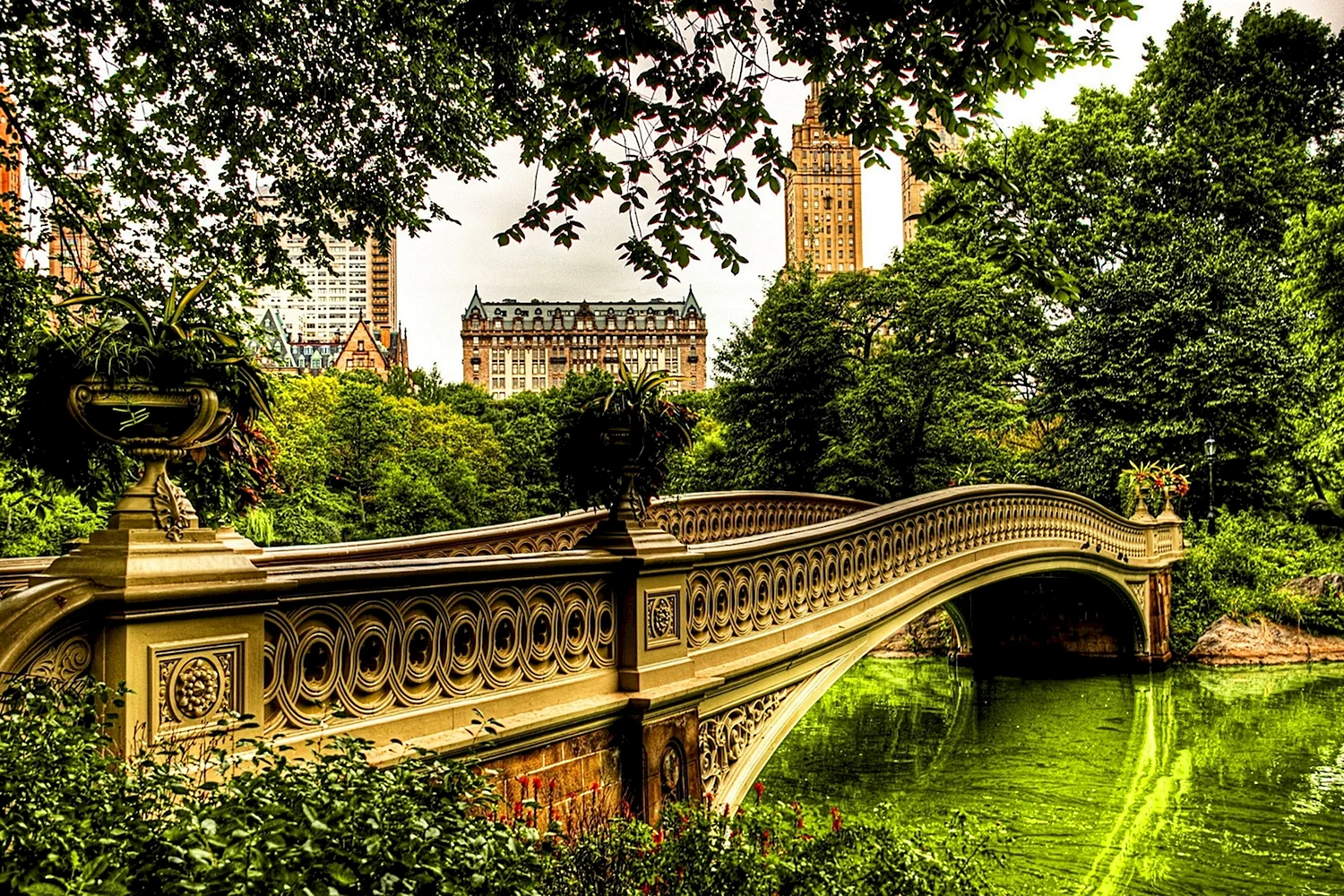Мост Нью Йорк Центральный парк