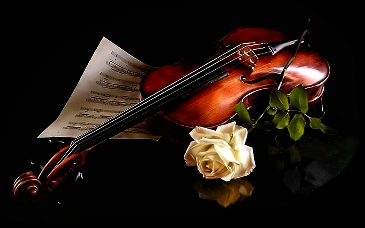 Моцарт со скрипкой