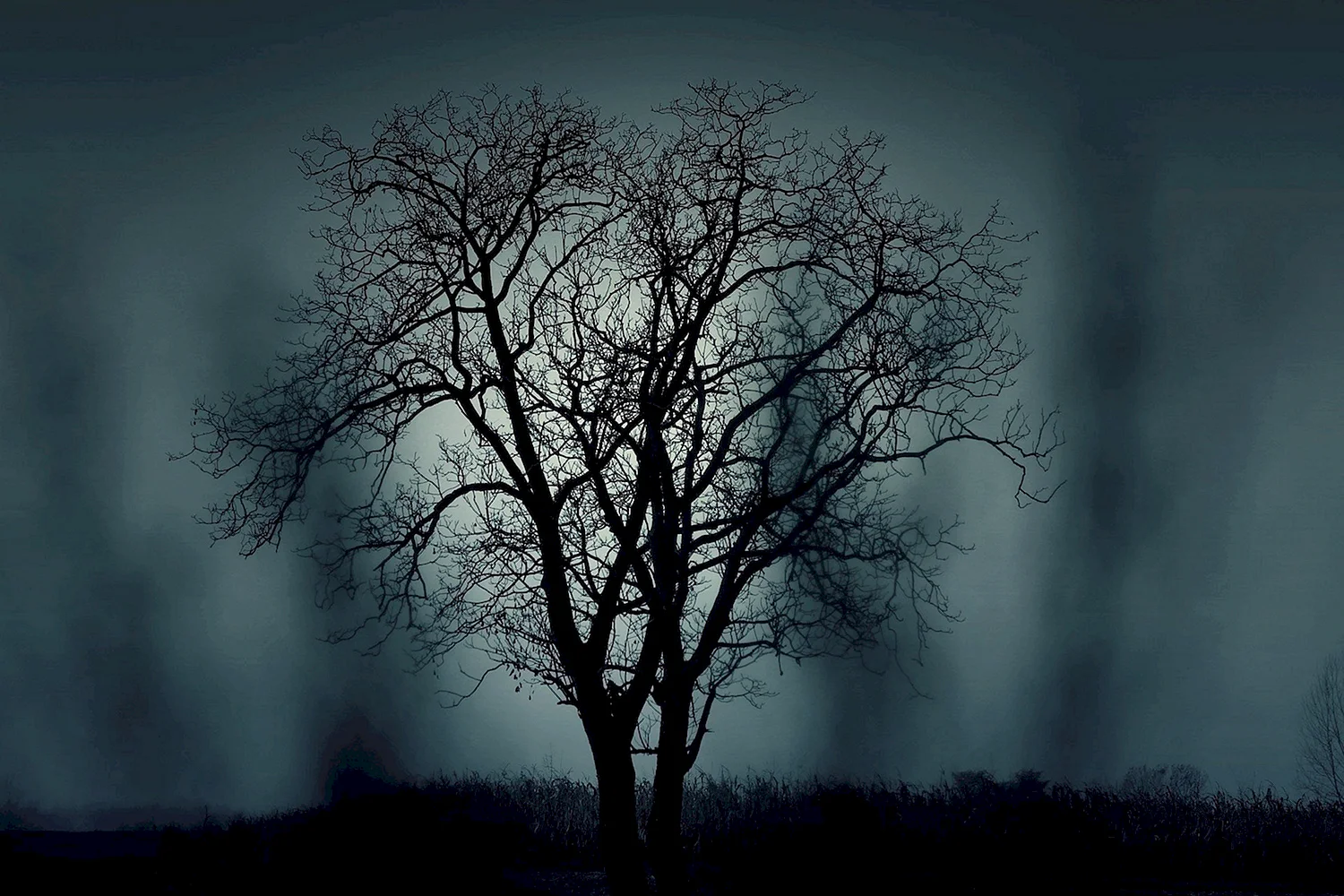 Мрачное дерево