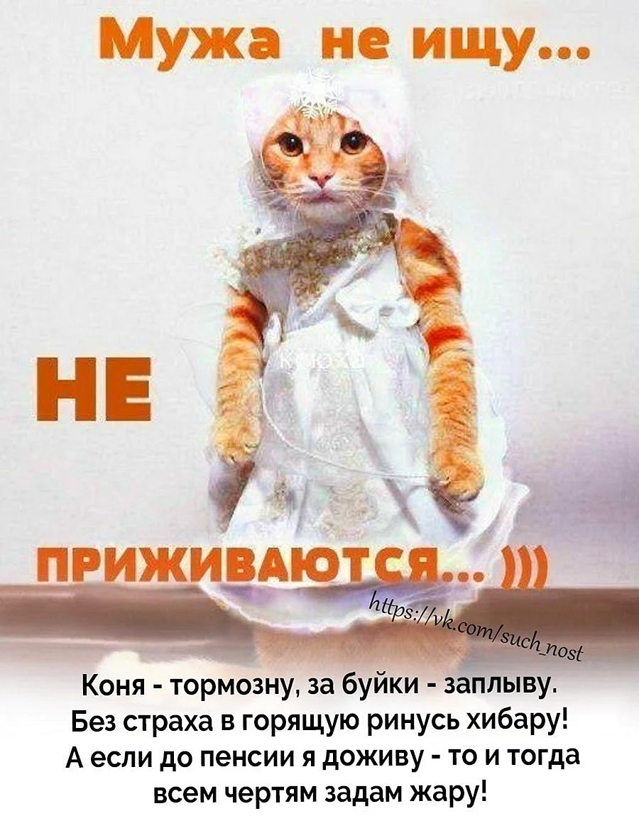 Мужа не ищу не приживаются