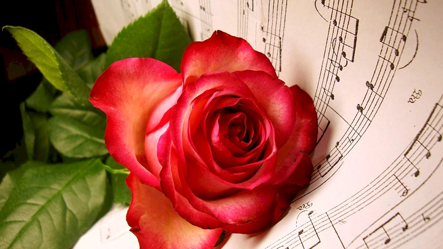 Музыкальный цветок