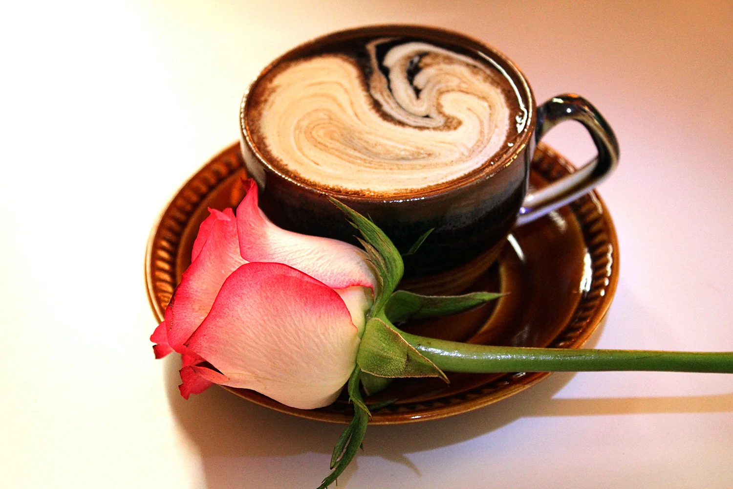 Цветочек в кофейной чашке (20 фото)