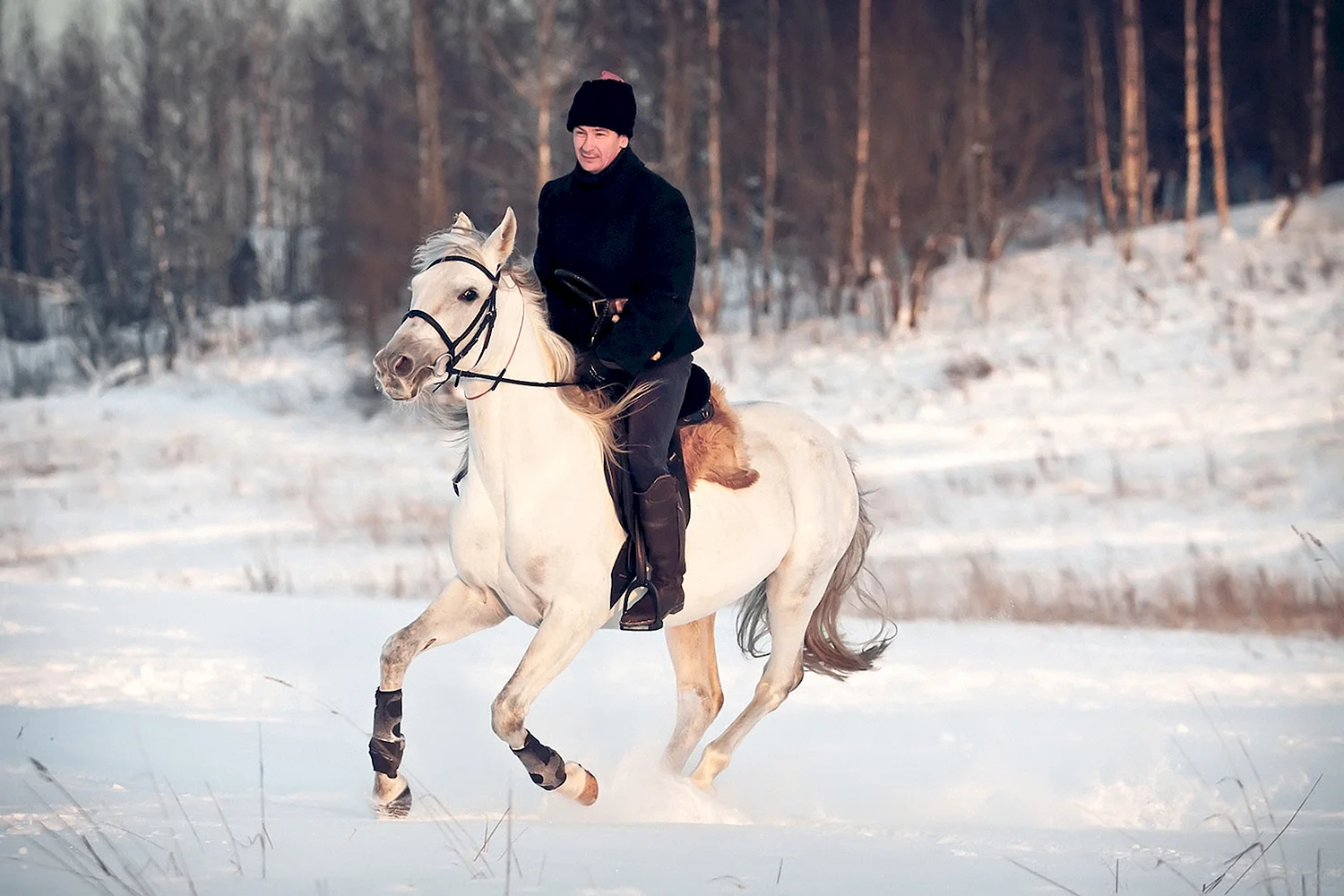 На коне зимой