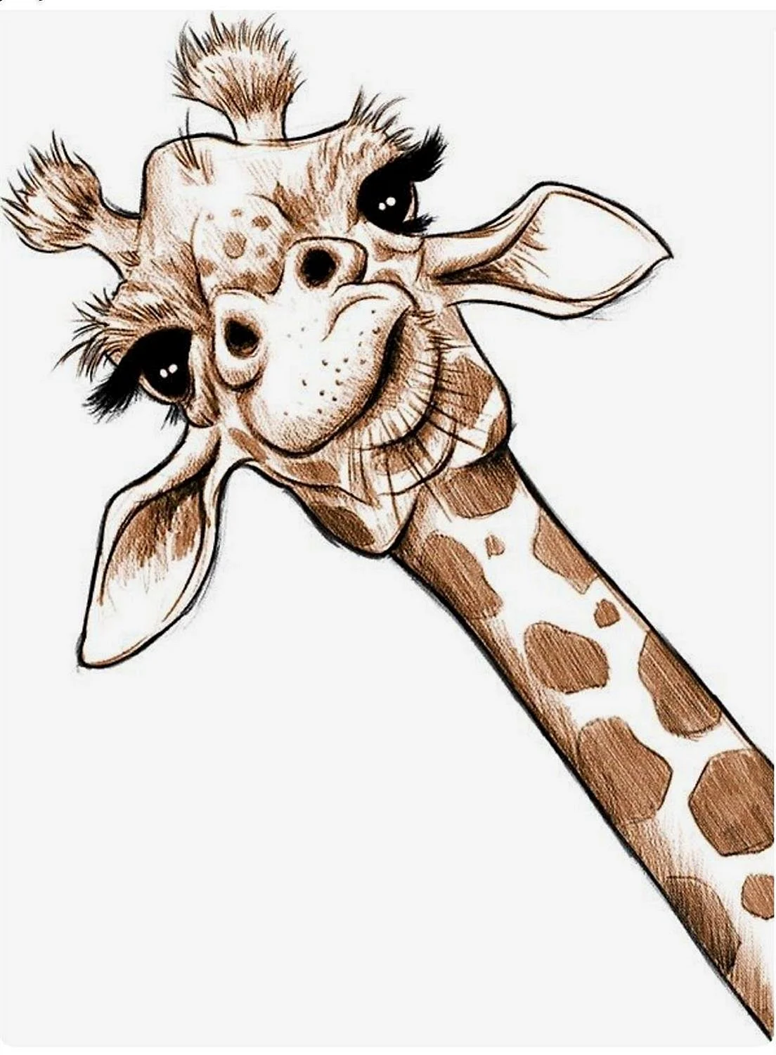Наброски жирафа