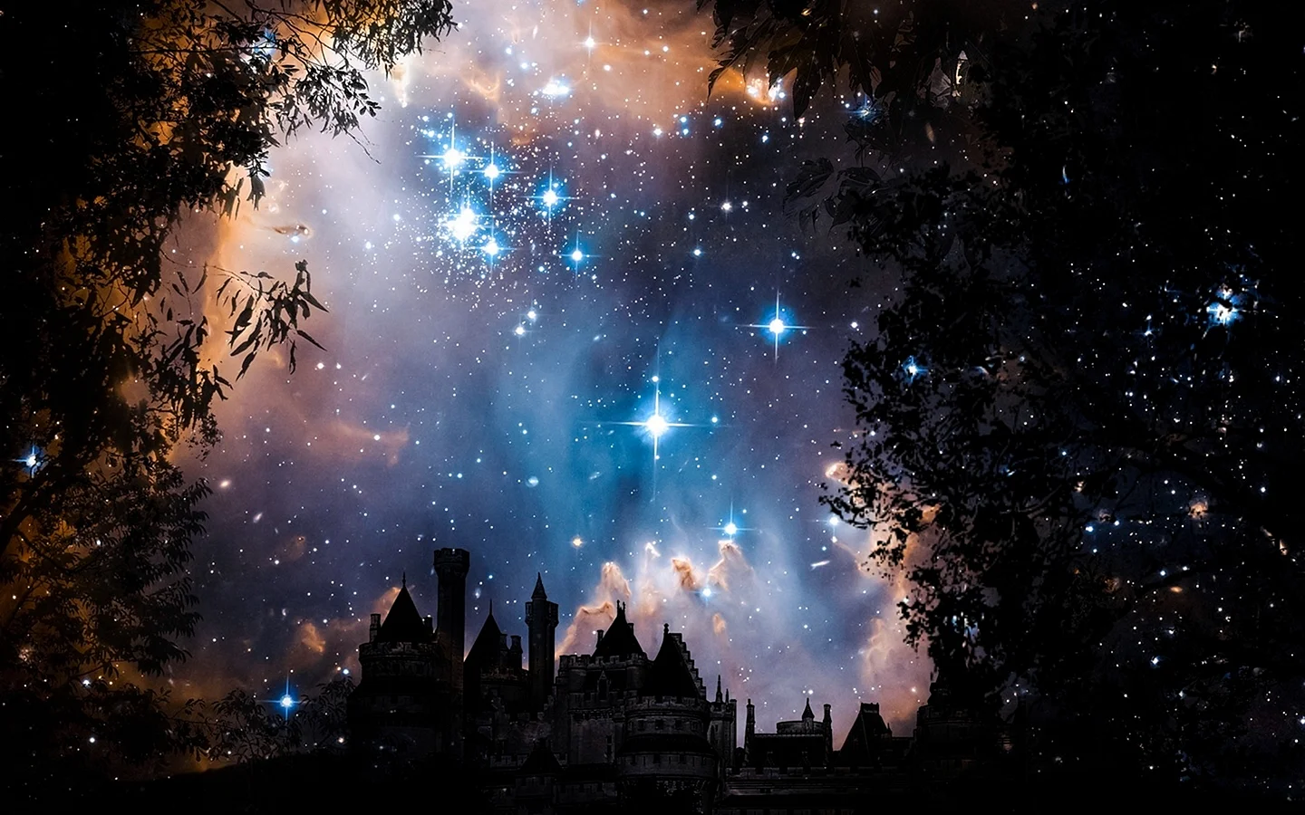 Ночь звезды