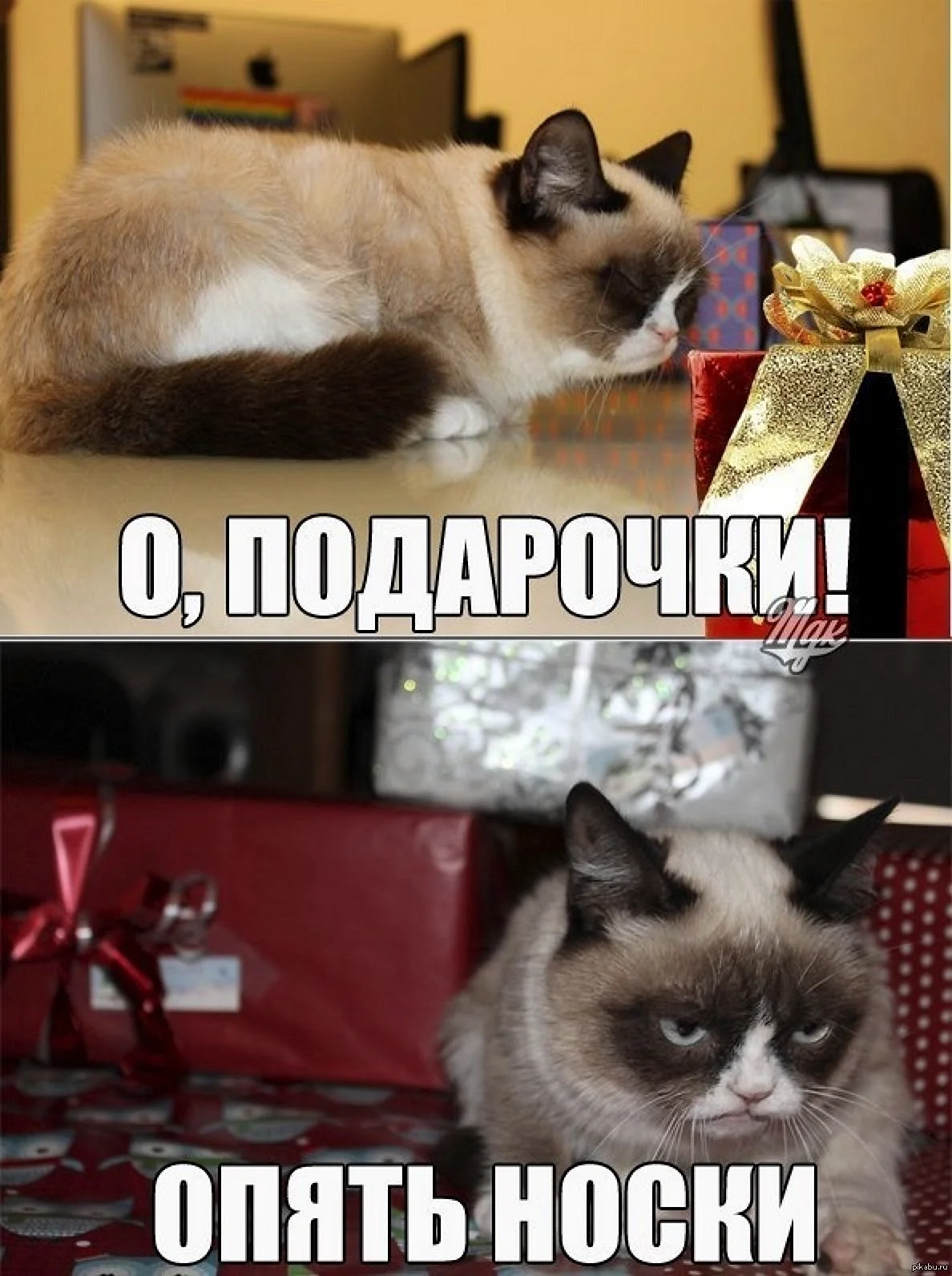 Новый год коты мемы