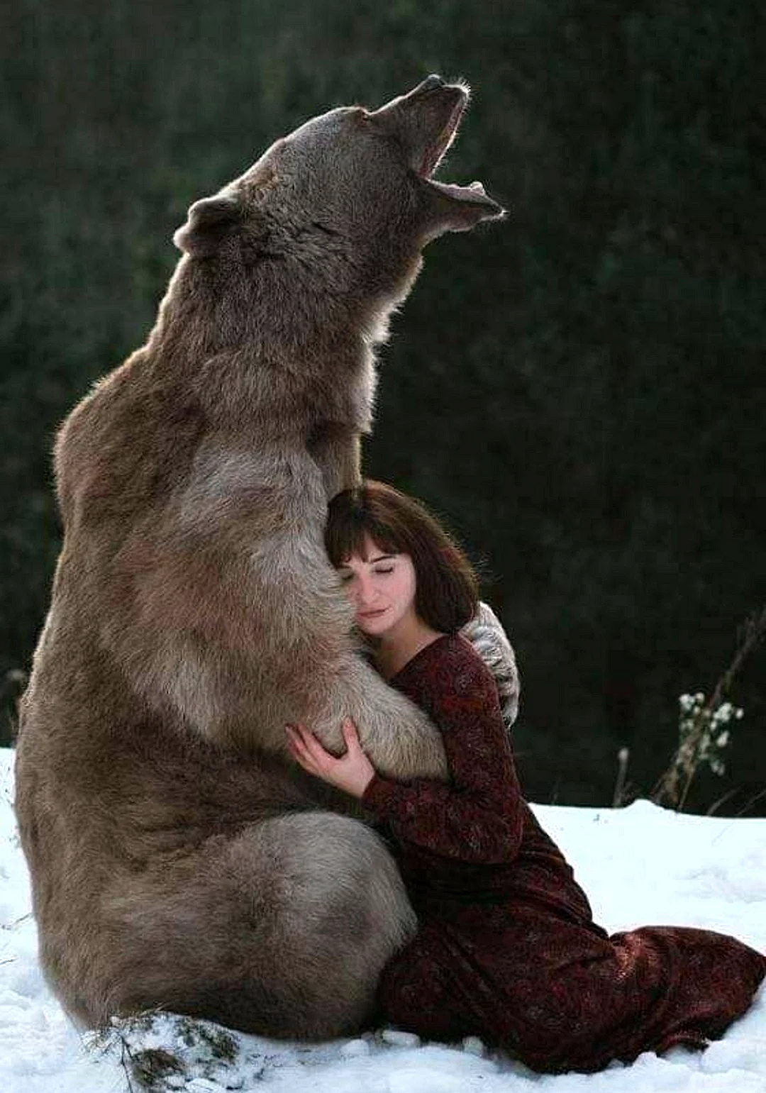 Стоковые фотографии по запросу Девушка медведь