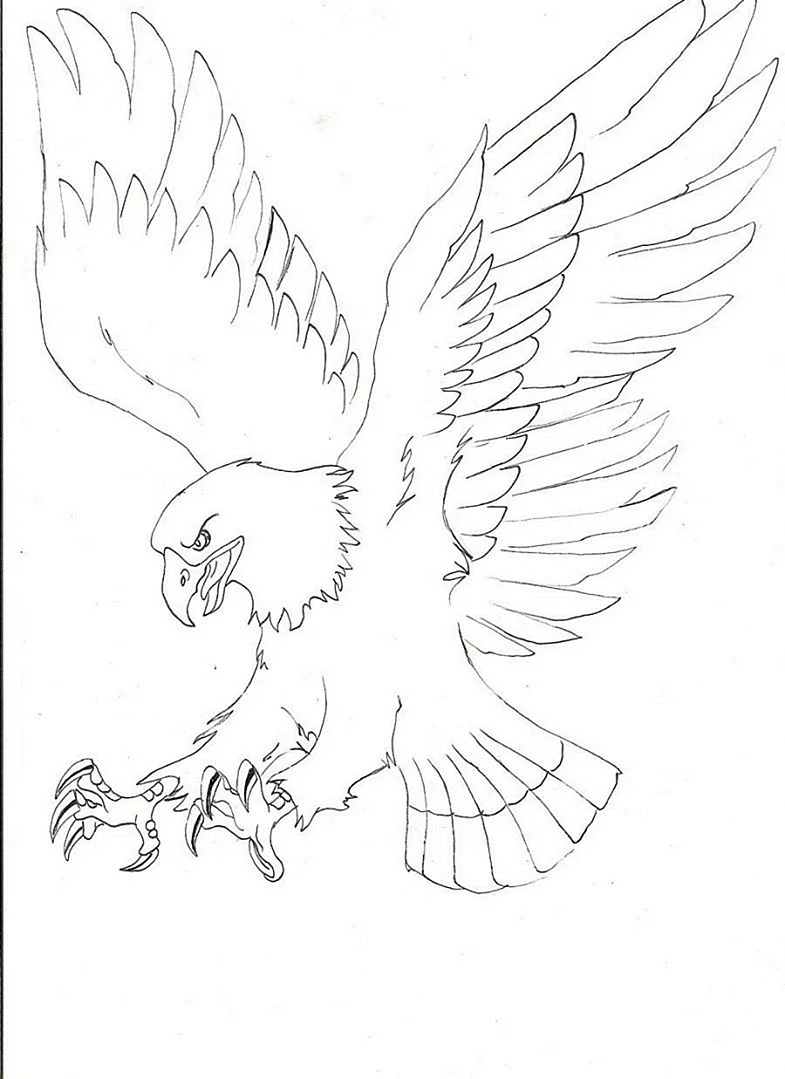 Орел рисунок
