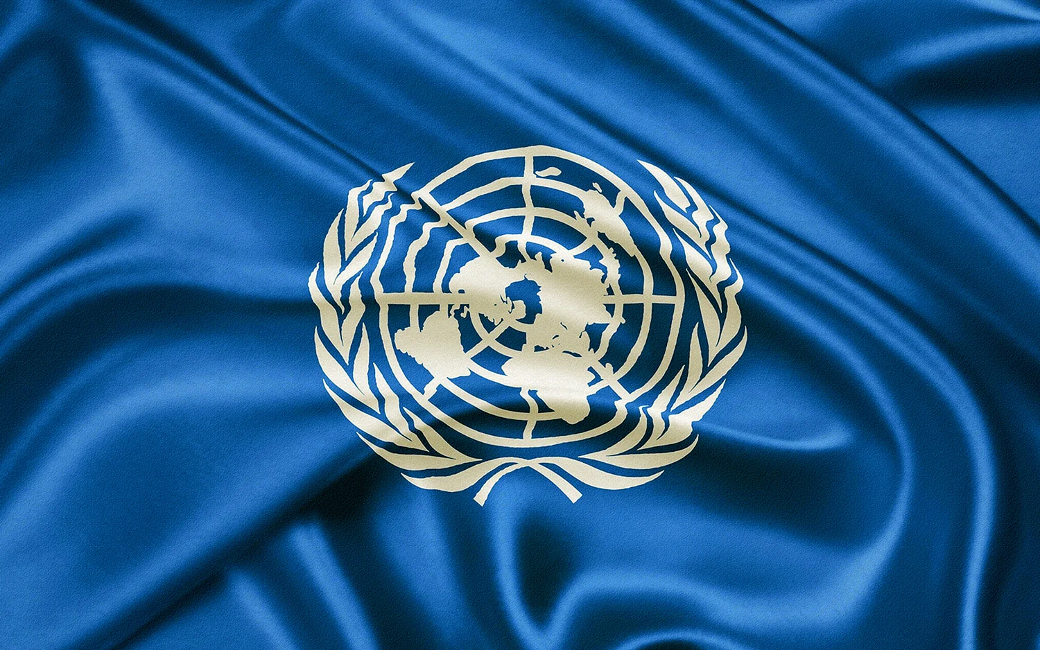 Организация Объединенных наций ООН