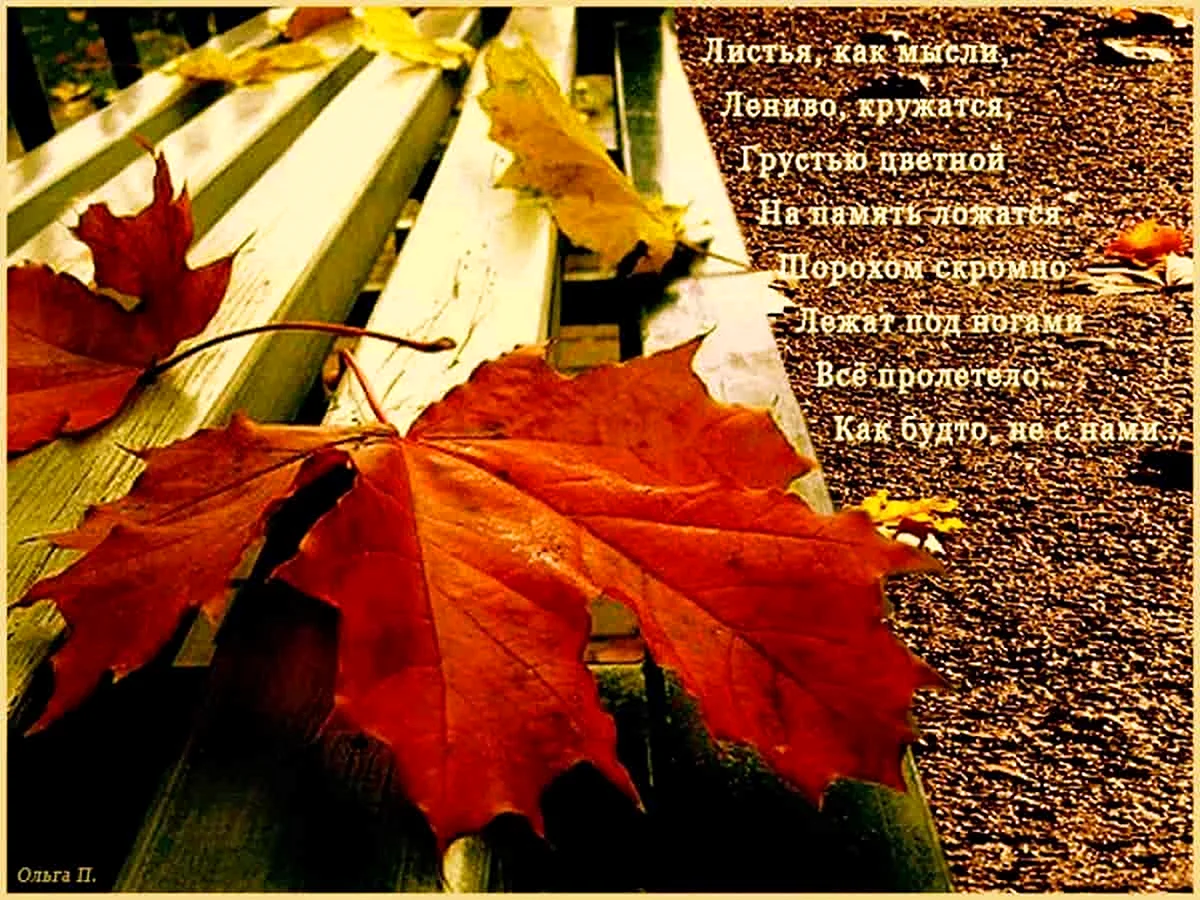 Осенние листья с пожеланиями