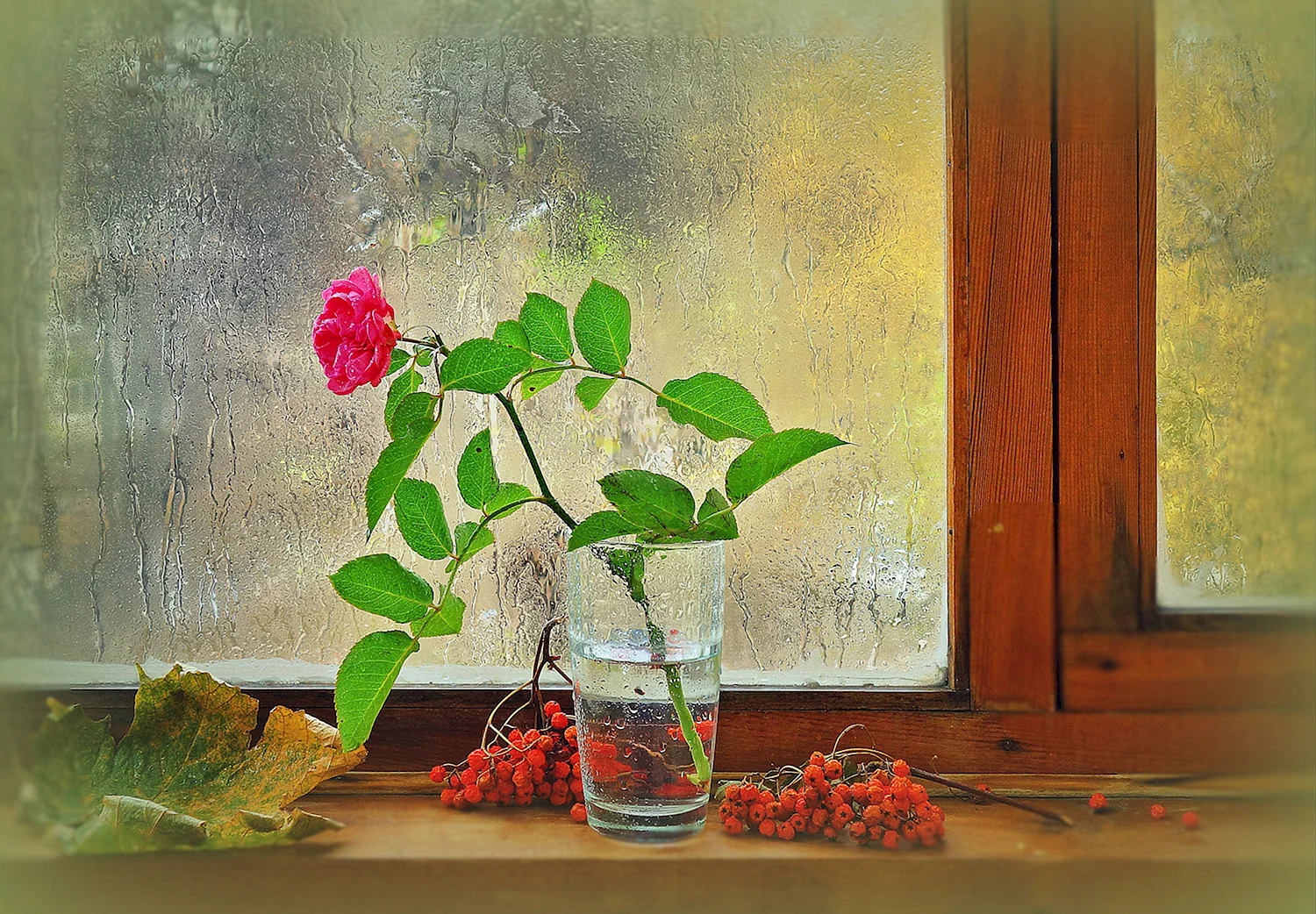 Осенние цветы на окне