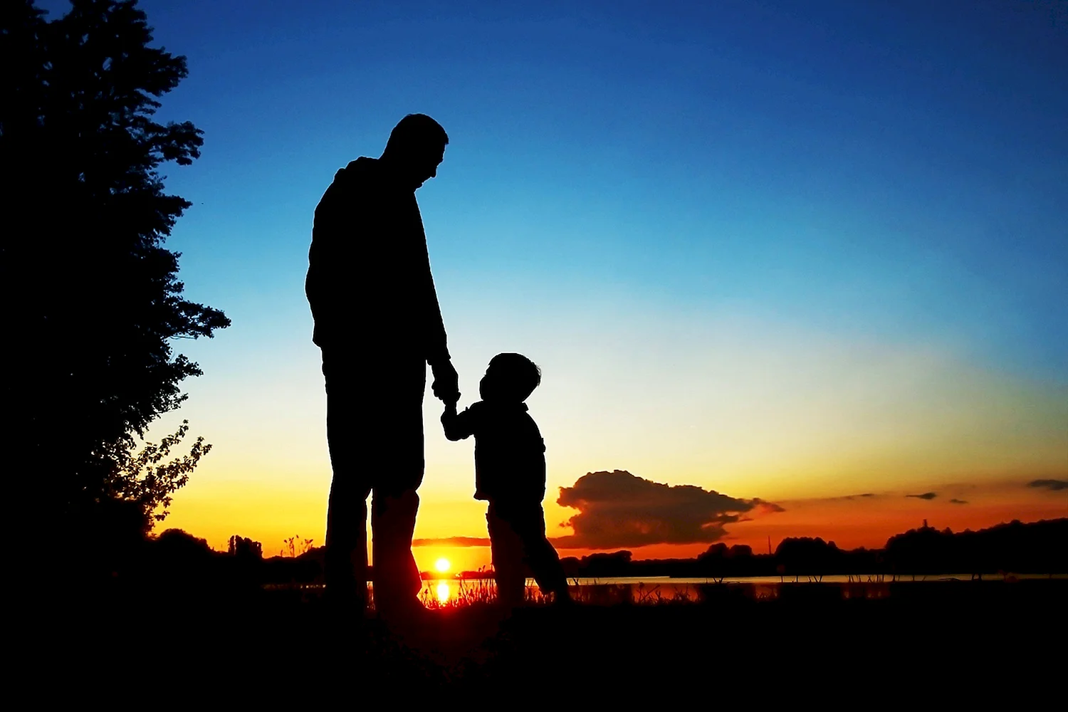 Отец и сын на закате