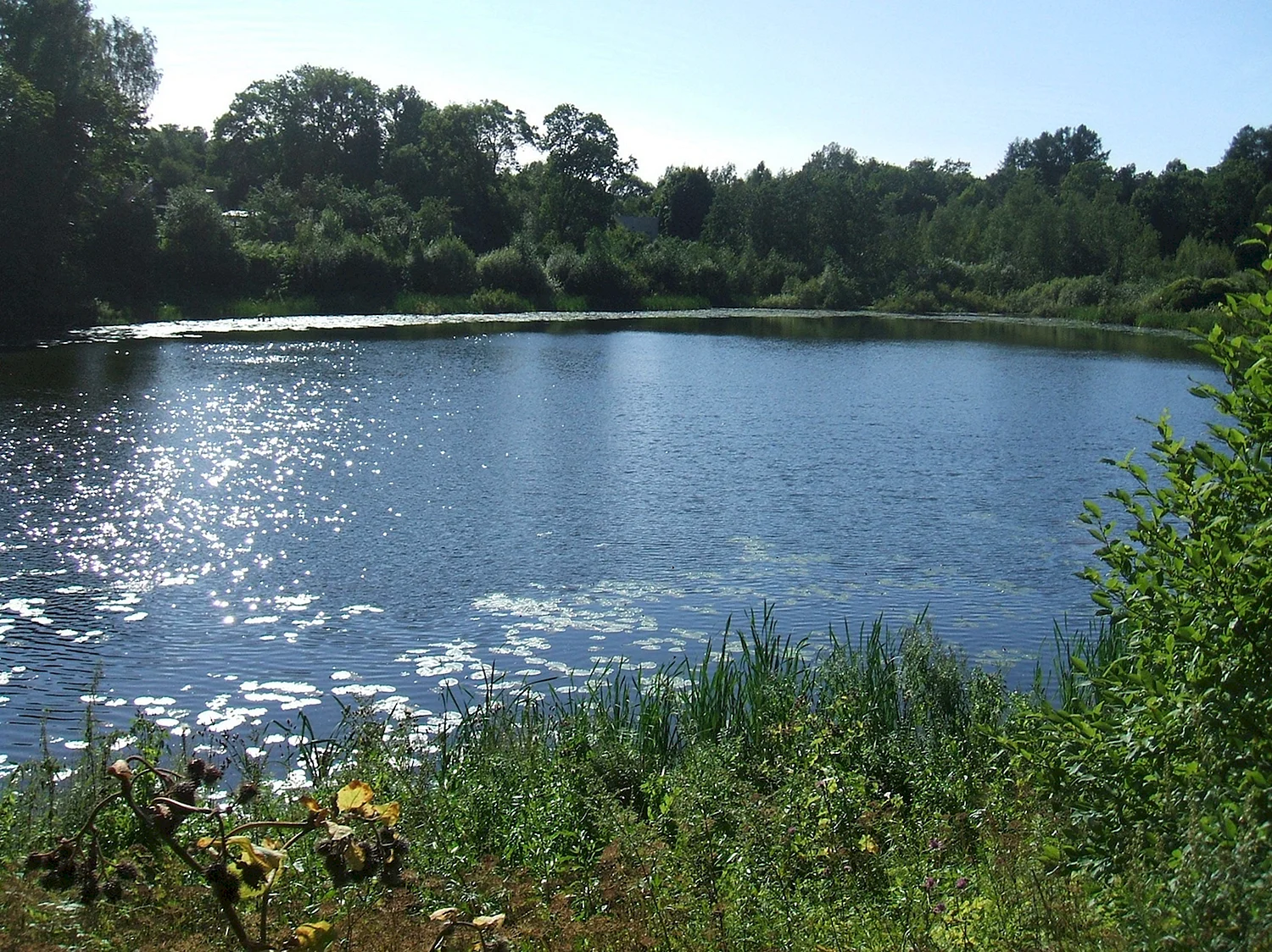 Озеро Акулинкино Курганская область