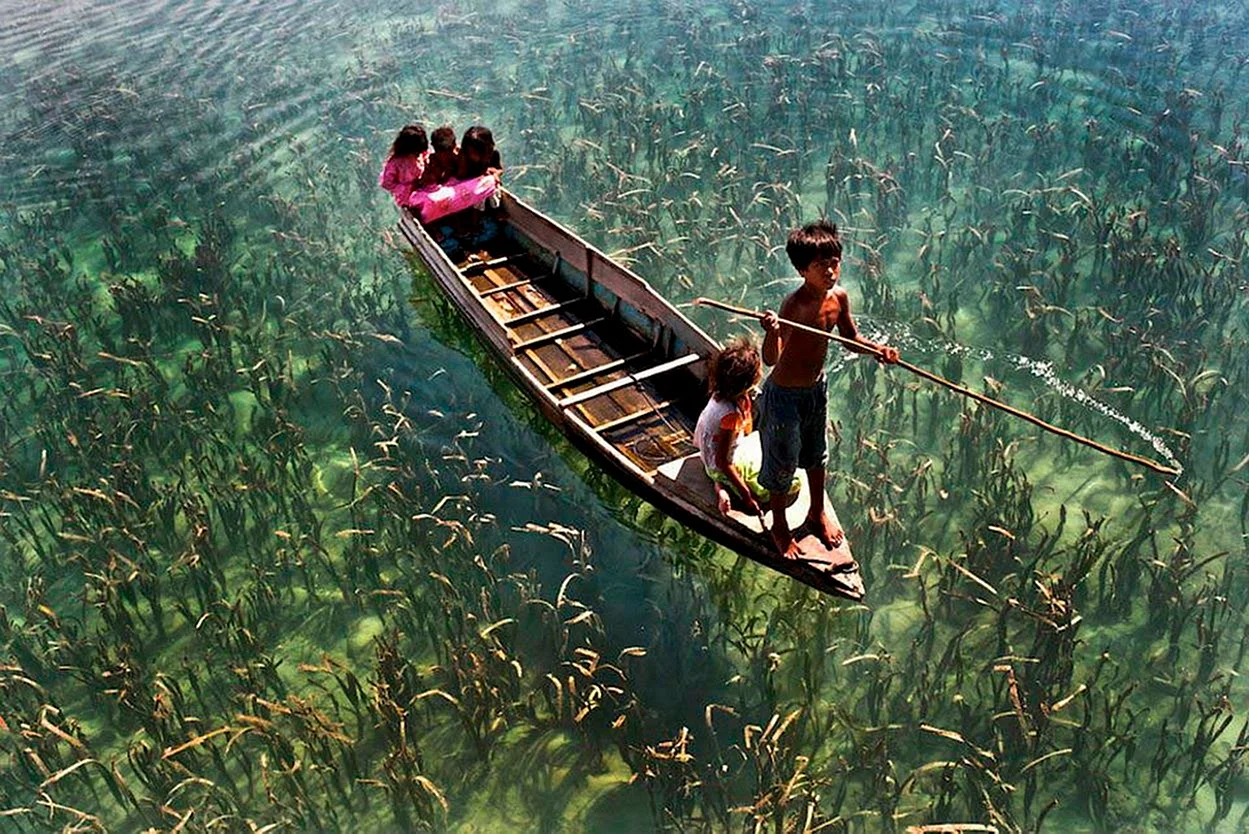 Озеро в Сабахе, Малайзия