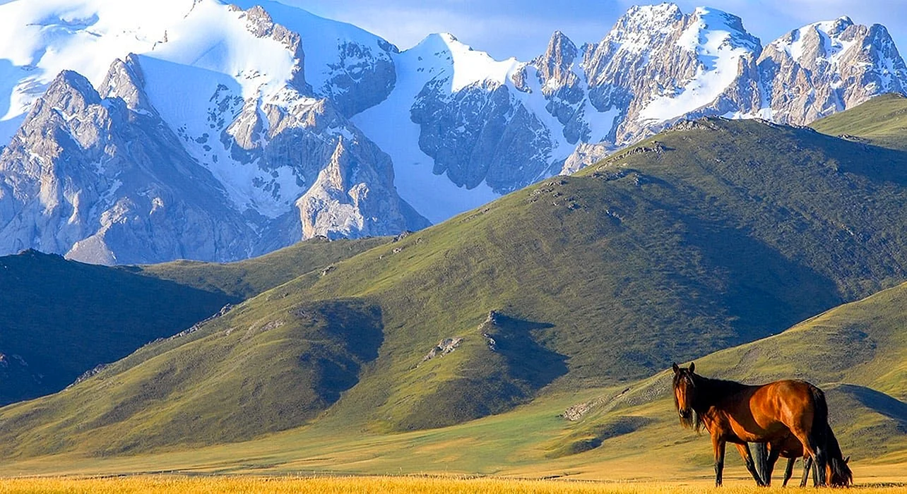 Пейзаж Кыргызстан джайлоо