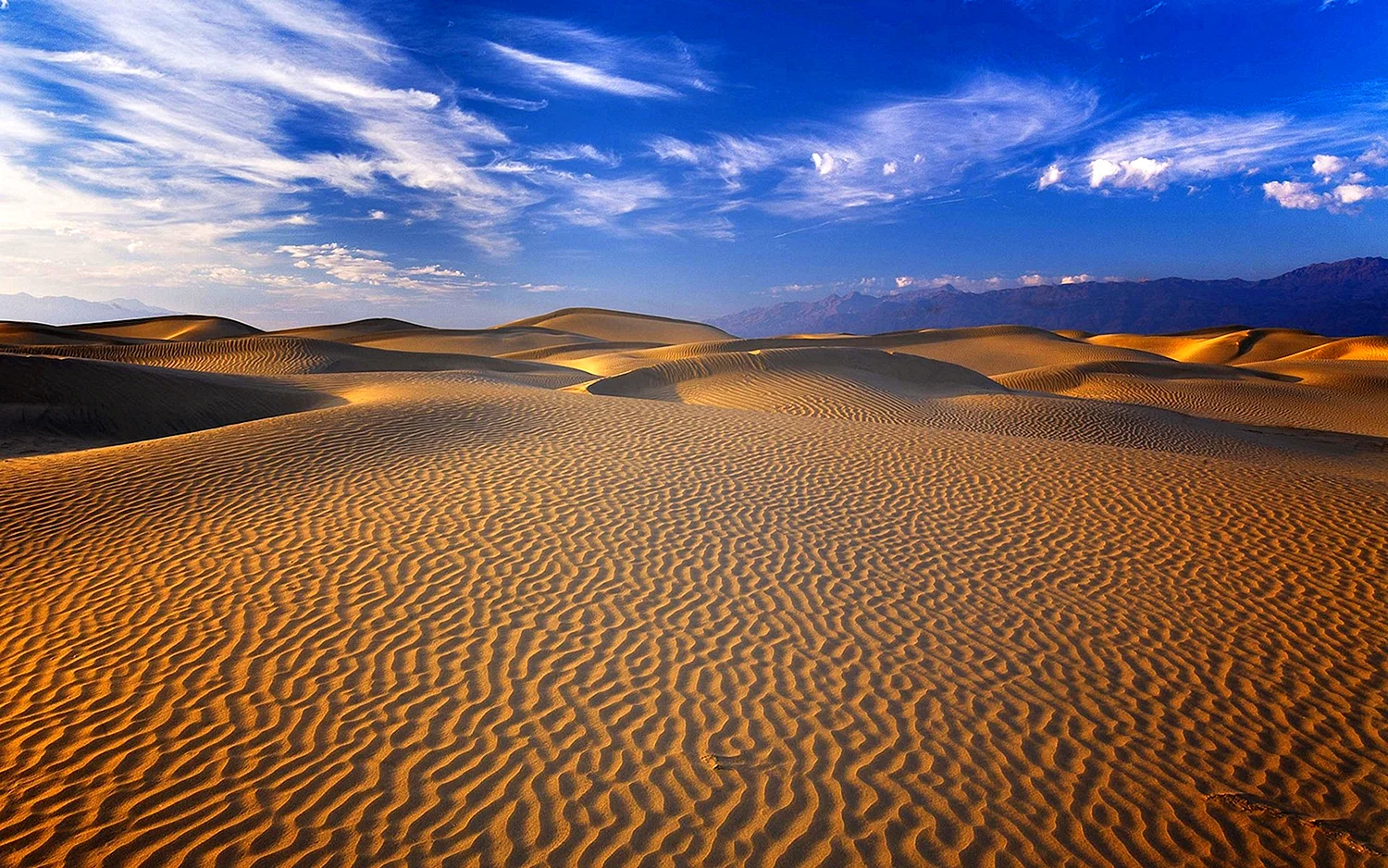 Песчано-эоловая пустыня Сахары