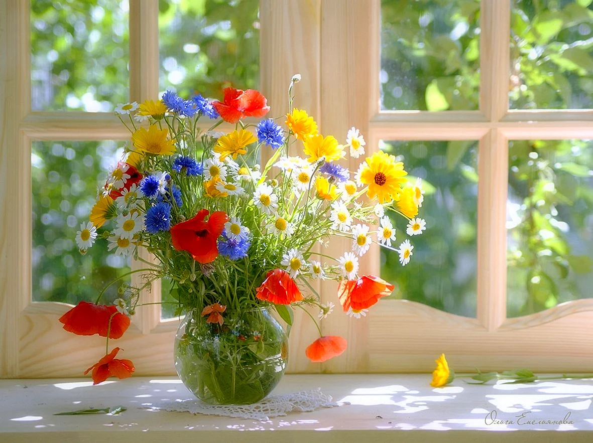 Полевые цветы на окне