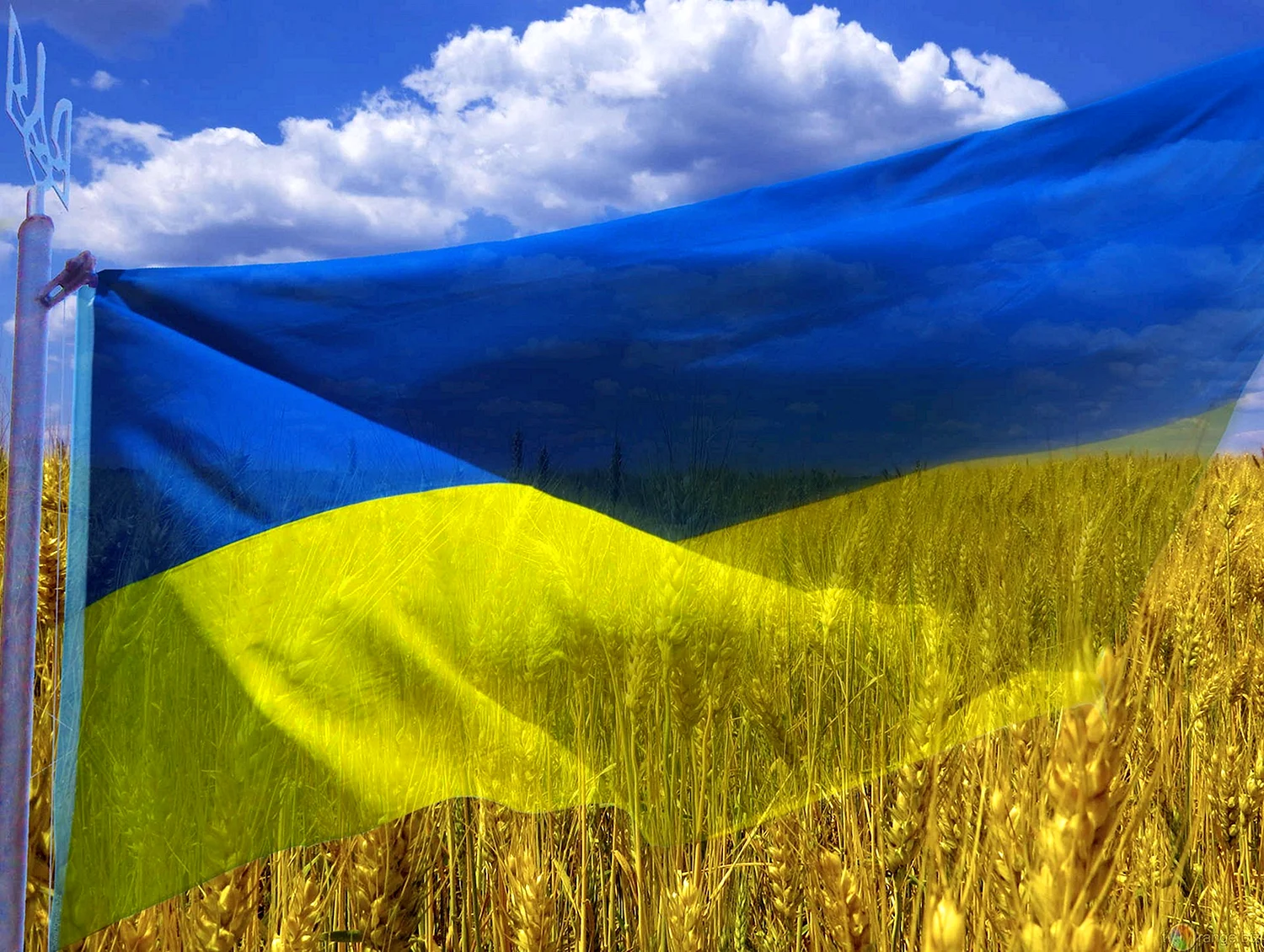 Прапор Украины