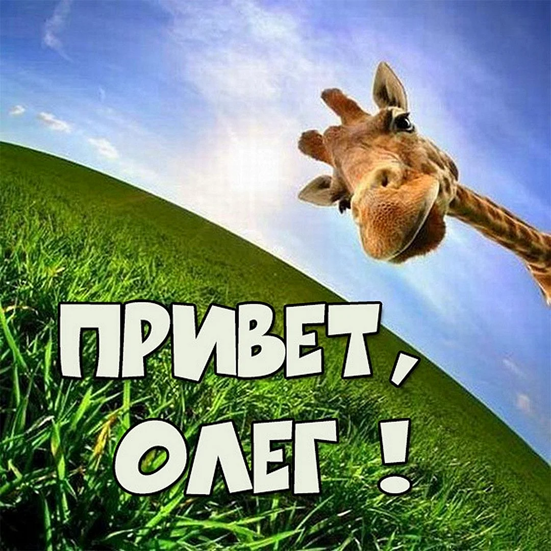 Привет Олег