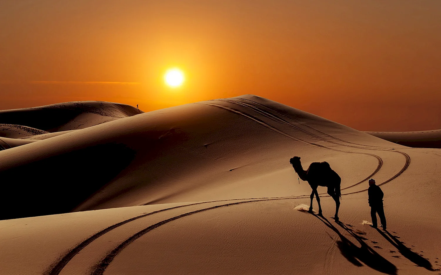 Пустыня сахара верблюд пейзаж
