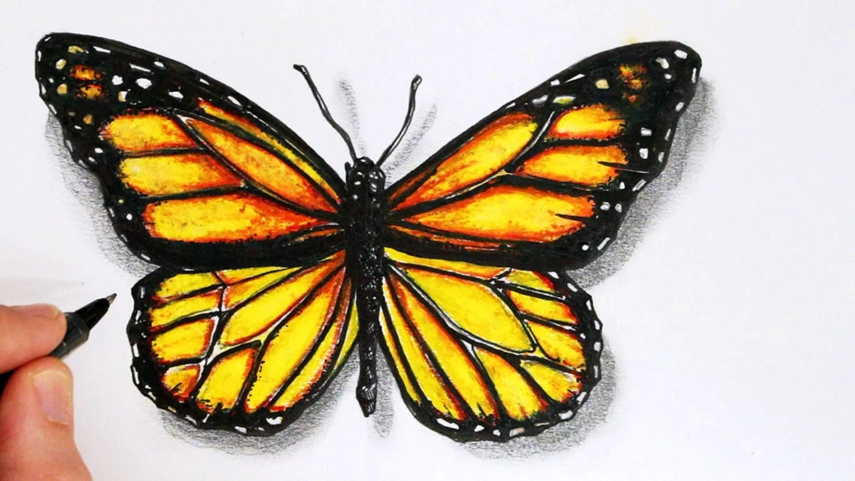 Рисование бабочки