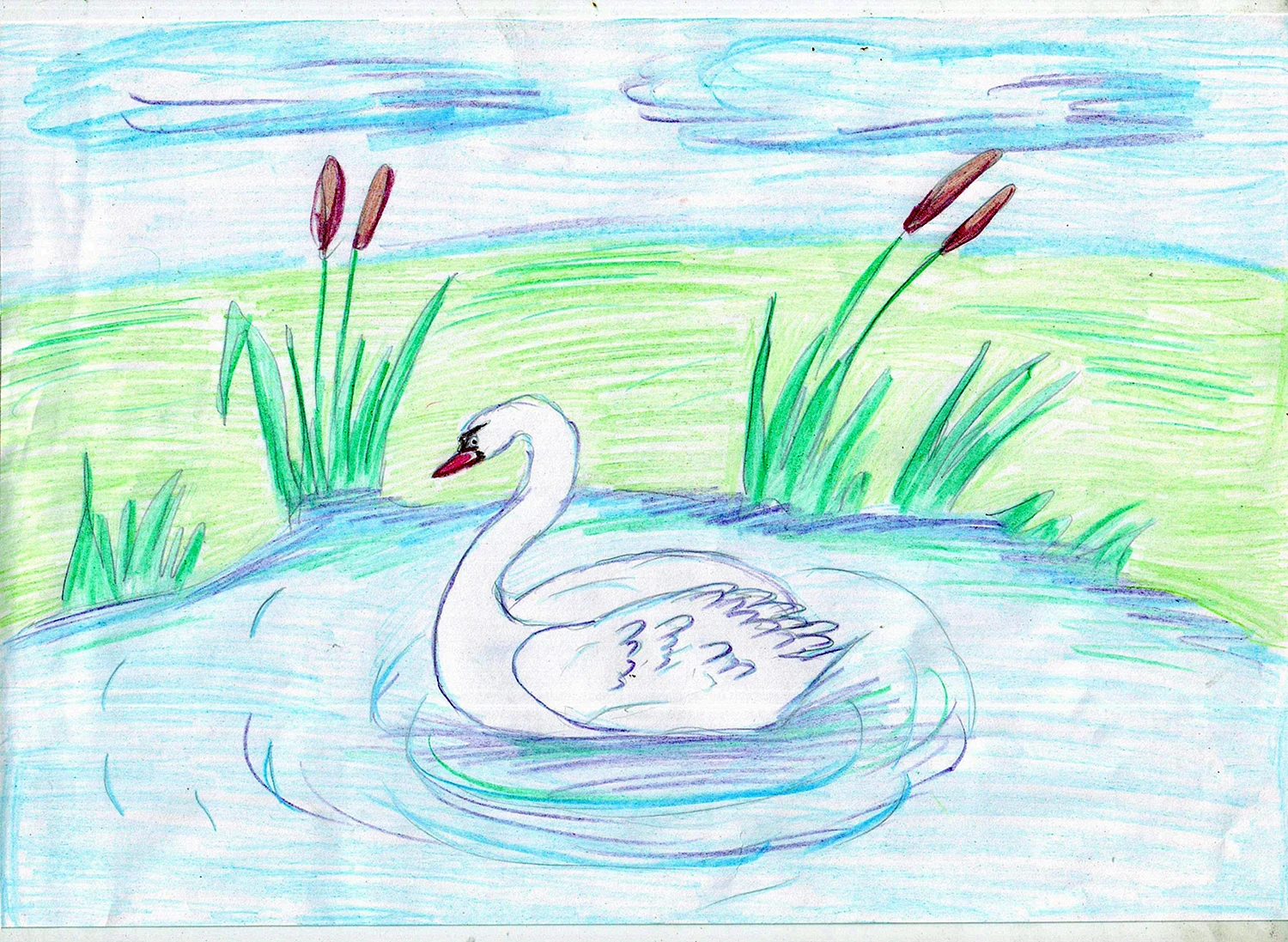 Рисуем лебедей на озере